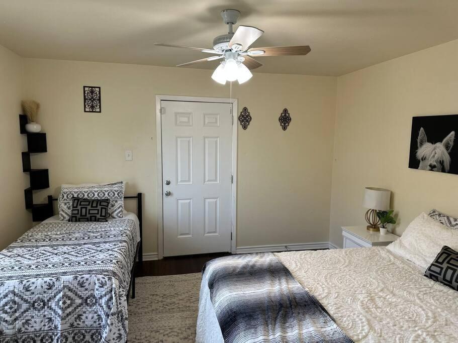 Walk To The Alamodome! Sleeps 6, Pet Friendly Διαμέρισμα Σαν Αντόνιο Εξωτερικό φωτογραφία