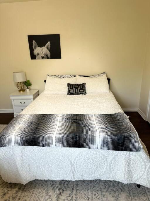 Walk To The Alamodome! Sleeps 6, Pet Friendly Διαμέρισμα Σαν Αντόνιο Εξωτερικό φωτογραφία
